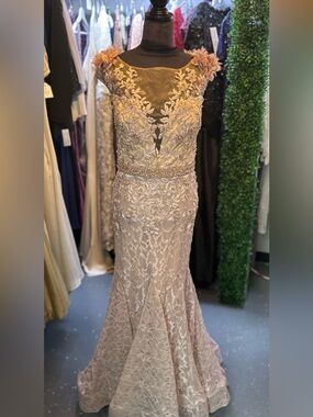 Mac Duggal Blush Lace Embroidered Evening Gown